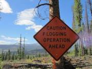 Thank god. This hike was getting boring.