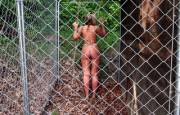Fenced in (x-post from /r/OutdoorBondage)
