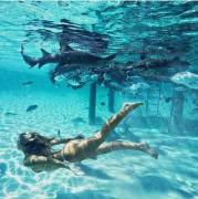 Swimming with the sharks