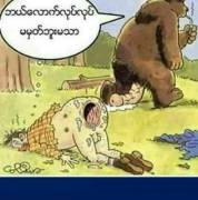 Can someone translate please?