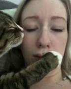 Cheshire the Molester.