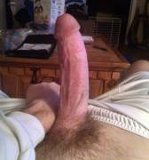 19 yo bisexual (all pms welcome men and women)