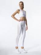 Meshy Leggings (MIC)