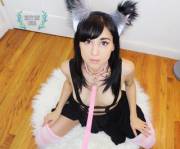 What a good little kitty