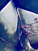 Fucked by the universe