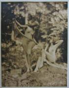 "Nudes in Griffith Park" photographed by Edwin Bower Hesser (c.1921)