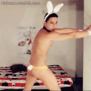 Different kind of Easter Bunny