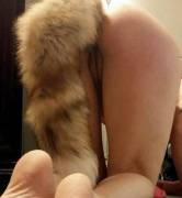 My wife loves her tail