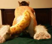 [M]e in my kitten getup