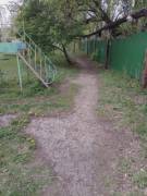 [first post] sharing my thanksgiving tights!