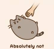 When I'm being a cranky kitten