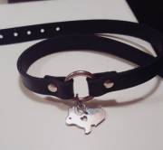 Master got me a new going out collar and I put my bunny charm on it!