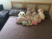 Daddy spoiled me this Christmas!