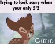 Grrrrrrrrrrr ! 