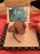 Mousey corrective surgery 