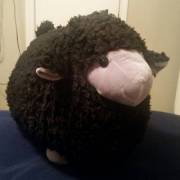 Say hello to Terrance. Daddy bought him for me to cuddles when I sleep over. HE'S SO SQUISHY! &lt;3