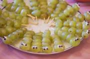 Little snacks: Grape caterpillars