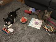 Having a bad day, so Daddy made me some snacks while I colored my Pusheen book :3 <3