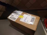 My "silicone sculpture" finally arrived (large Crackers)