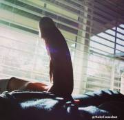 I wonder if any of my neighbors saw