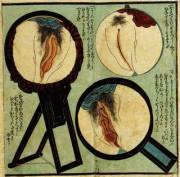Types of Sleeves - Japanese Shunga Print (1850)