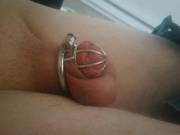 How do you like my new, even smaller cage?