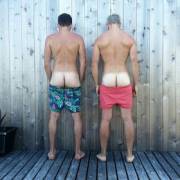 I wonder what are they doing