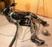 Shiny in all the best ways :D