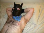 hehe sexy pup pose wags