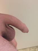 Softie with and without foreskin