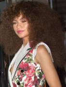 Zendaya Coleman nip slip [AIM]