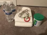 Turning in Schoolwork Late = Punishment