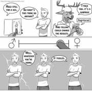 The Ficus TF Collection