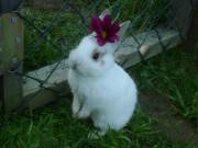 I love the flower girl.