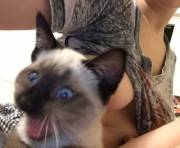 [Blooper] I was told this belonged here! [f]