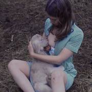 Breastfeeding a baby lamb.