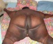 Worlds largest starfish (NSFW)