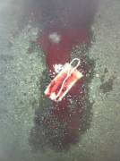 So I Found this in an Alley