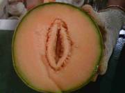 Unfortunately you cantaloupe with it.