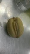 This kiwi looks like it might be pretty juicy.