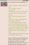 /b/ wants to fuck a dolphin