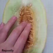 Seeded... for his pleasure