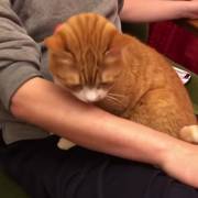 When you cuddle up with daddy