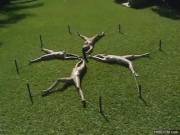 For Conan, there was the Wheel of Pain. For slavegirls, there is the Wheel of Tan.