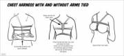 chest harness