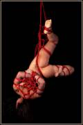 Red Hung - Model Anon , Rope/Photo Riggerjay