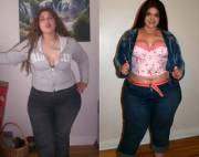 An album of more than 300 images - content!