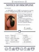 Notice of Discipline