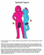 Sexual habits of Hyenas