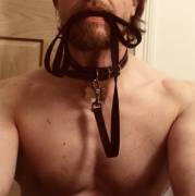 Walkies? (A sub[m]ission for pet play week...)